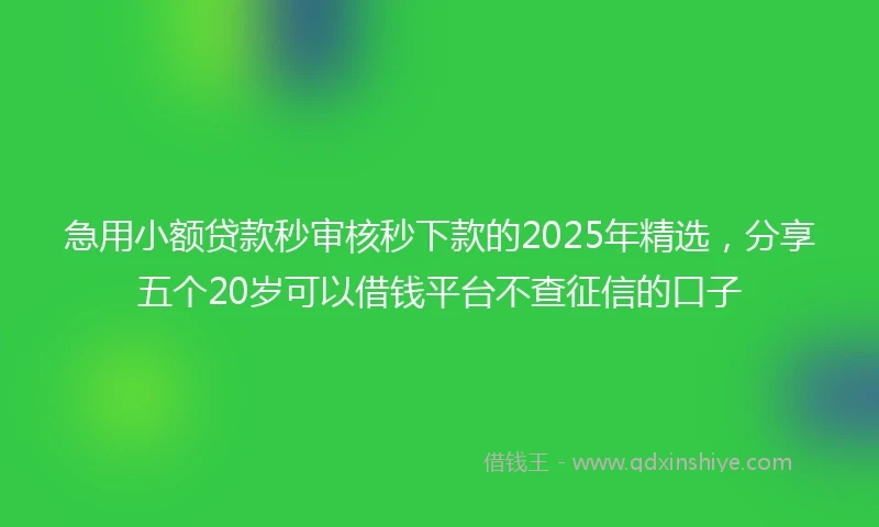 急用小额贷款秒审核秒下款的2025年精选，分享五个20岁可以借钱平台不查征信的口子