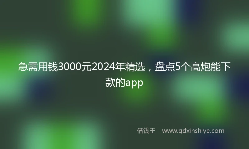 急需用钱3000元2024年精选，盘点5个高炮能下款的app