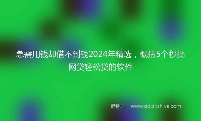 急需用钱却借不到钱2024年精选，概括5个秒批网贷轻松贷的软件