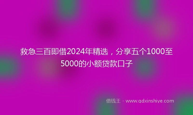救急三百即借2024年精选，分享五个1000至5000的小额贷款口子