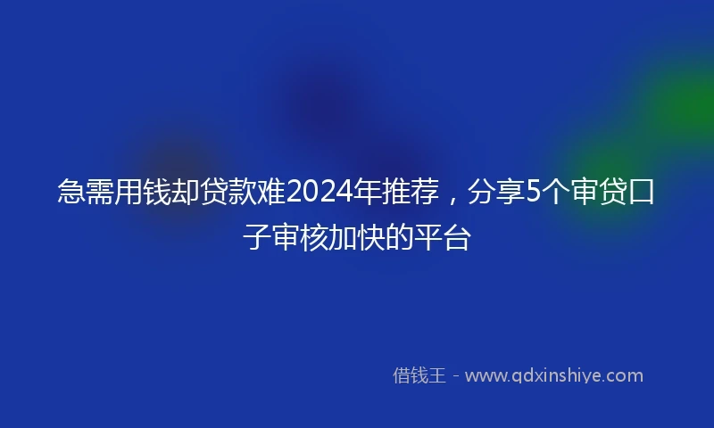 急需用钱却贷款难2024年推荐，分享5个审贷口子审核加快的平台