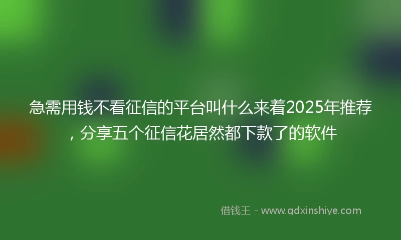 急需用钱不看征信的平台叫什么来着2025年推荐，分享五个征信花居然都下款了的软件