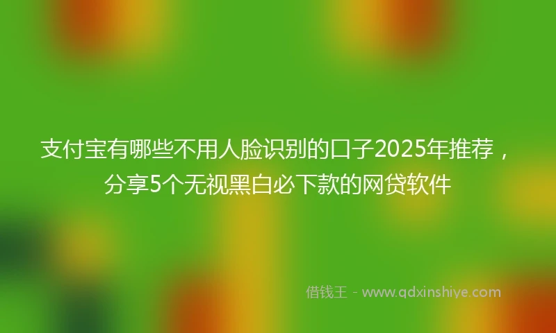 支付宝有哪些不用人脸识别的口子2025年推荐，分享5个无视黑白必下款的网贷软件