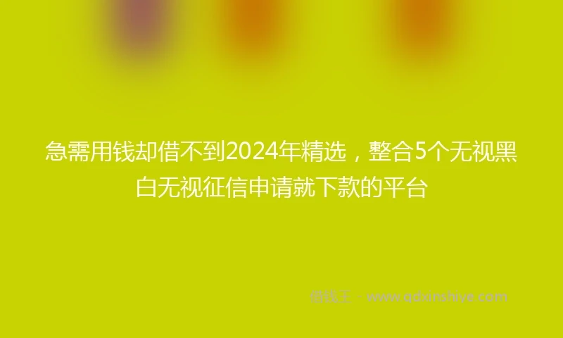 急需用钱却借不到2024年精选，整合5个无视黑白无视征信申请就下款的平台
