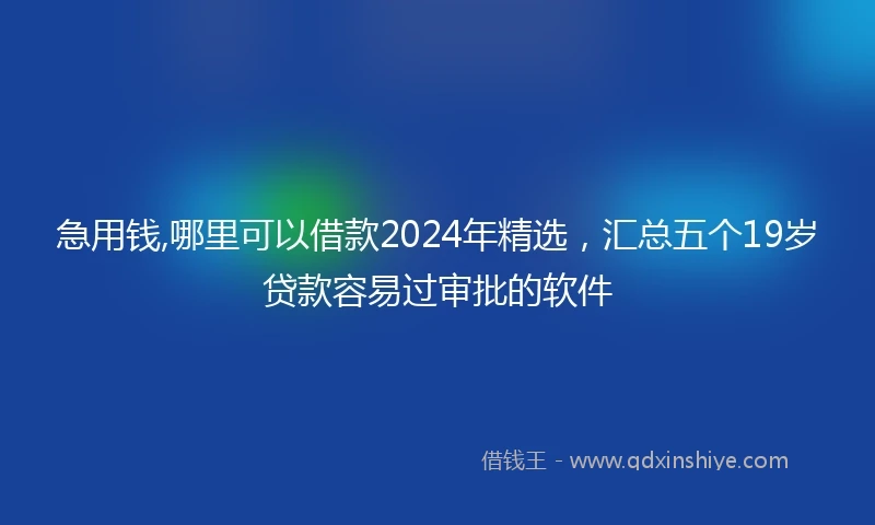 急用钱,哪里可以借款2024年精选，汇总五个19岁贷款容易过审批的软件