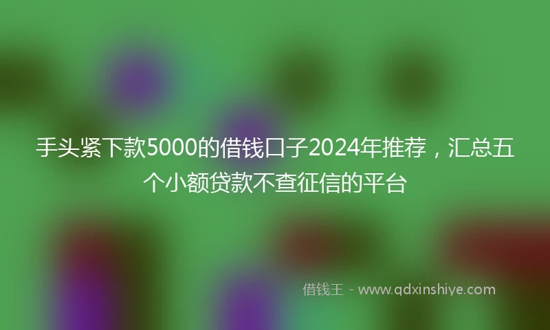 手头紧下款5000的借钱口子2024年推荐，汇总五个小额贷款不查征信的平台