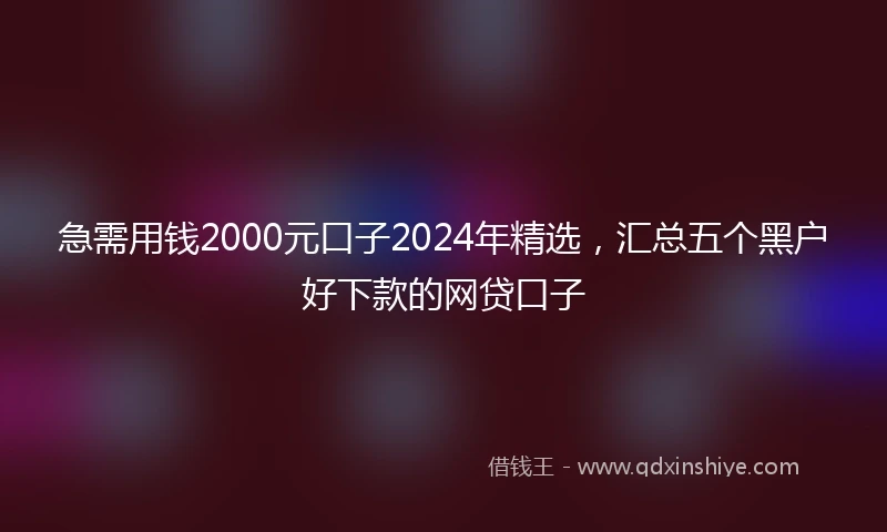 急需用钱2000元口子2024年精选，汇总五个黑户好下款的网贷口子
