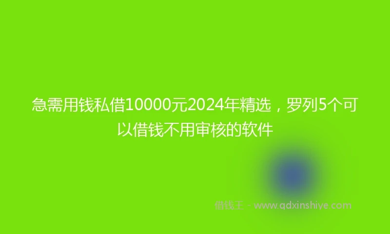 急需用钱私借10000元2024年精选，罗列5个可以借钱不用审核的软件