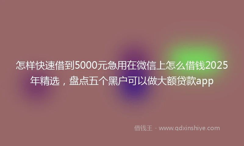 怎样快速借到5000元急用在微信上怎么借钱2025年精选，盘点五个黑户可以做大额贷款app