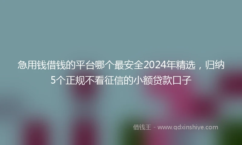 急用钱借钱的平台哪个最安全2024年精选，归纳5个正规不看征信的小额贷款口子