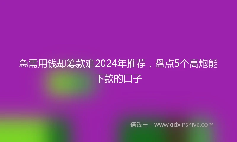 急需用钱却筹款难2024年推荐，盘点5个高炮能下款的口子
