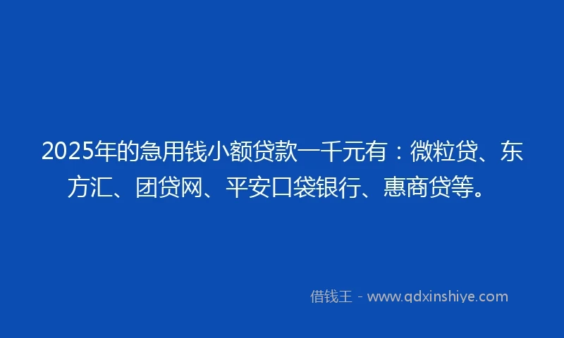 2025年的急用钱小额贷款一千元有：微粒贷、东方汇、团贷网、平安口袋银行、惠商贷等。