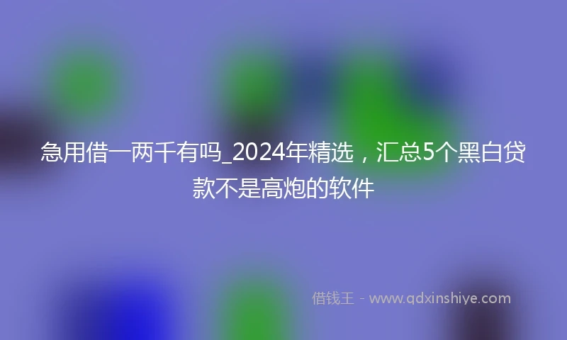 急用借一两千有吗_2024年精选，汇总5个黑白贷款不是高炮的软件