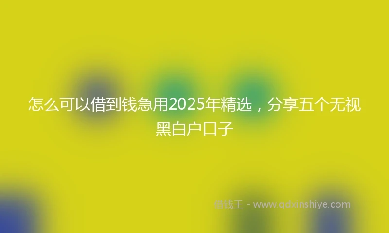 怎么可以借到钱急用2025年精选，分享五个无视黑白户口子
