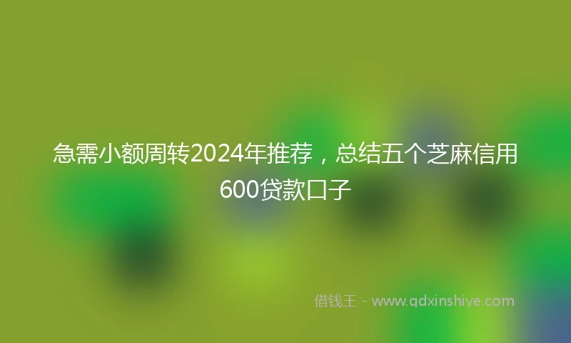 急需小额周转2024年推荐，总结五个芝麻信用600贷款口子