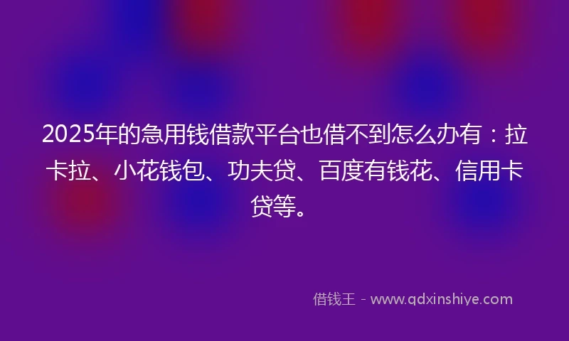 2025年的急用钱借款平台也借不到怎么办有：拉卡拉、小花钱包、功夫贷、百度有钱花、信用卡贷等。
