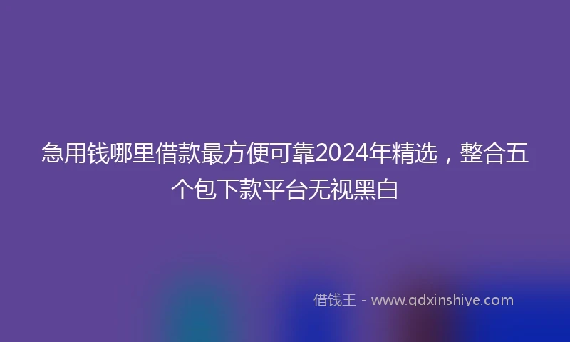 急用钱哪里借款最方便可靠2024年精选，整合五个包下款平台无视黑白