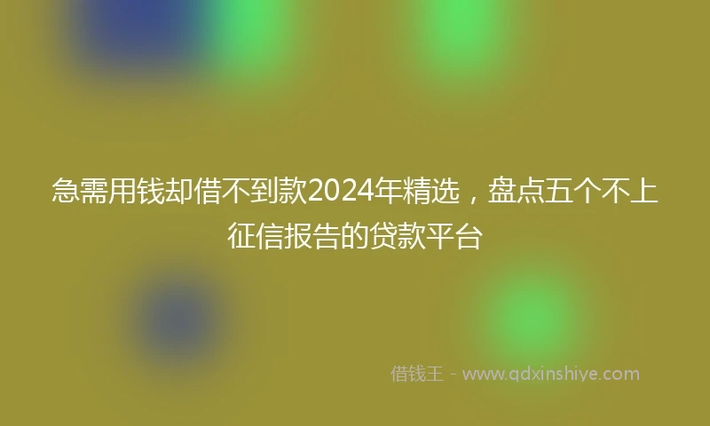急需用钱却借不到款2024年精选，盘点五个不上征信报告的贷款平台