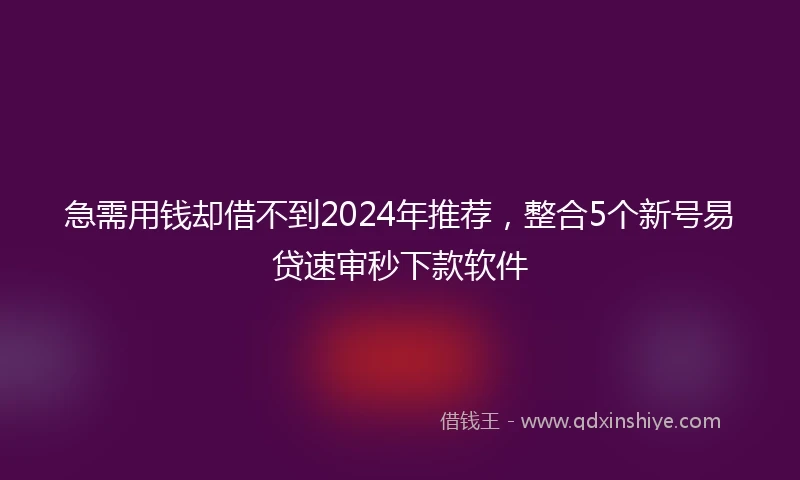 急需用钱却借不到2024年推荐，整合5个新号易贷速审秒下款软件
