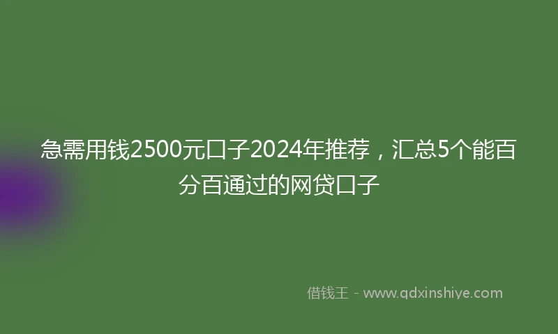急需用钱2500元口子2024年推荐，汇总5个能百分百通过的网贷口子