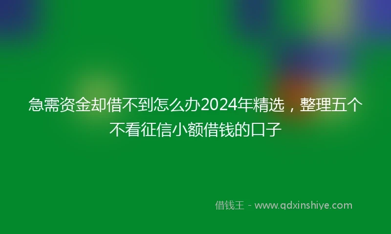急需资金却借不到怎么办2024年精选，整理五个不看征信小额借钱的口子
