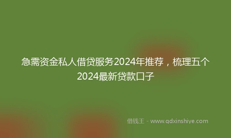 急需资金私人借贷服务2024年推荐，梳理五个2024最新贷款口子