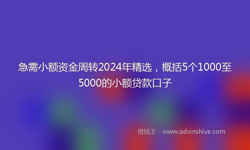 急需小额资金周转2024年精选，概括5个1000至5000的小额贷款口子