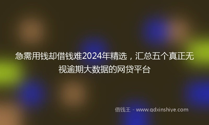 急需用钱却借钱难2024年精选，汇总五个真正无视逾期大数据的网贷平台