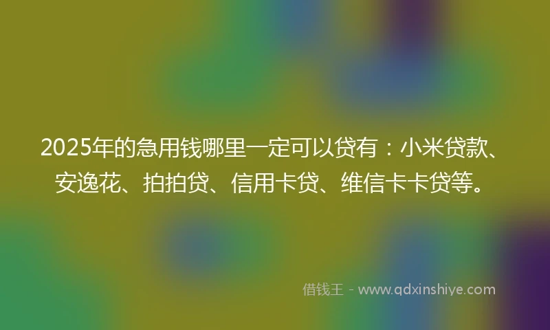 2025年的急用钱哪里一定可以贷有：小米贷款、安逸花、拍拍贷、信用卡贷、维信卡卡贷等。