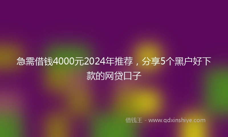 急需借钱4000元2024年推荐，分享5个黑户好下款的网贷口子