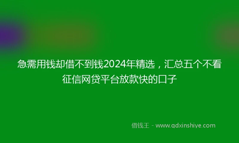 急需用钱却借不到钱2024年精选，汇总五个不看征信网贷平台放款快的口子