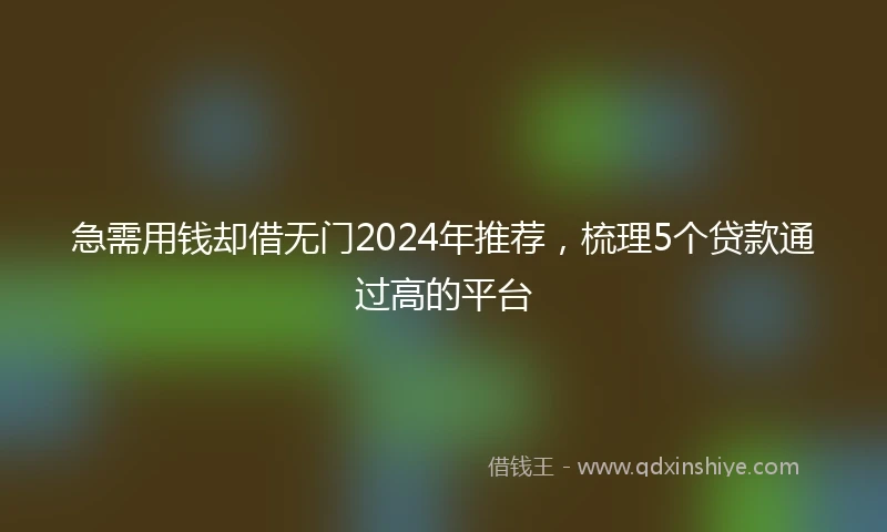 急需用钱却借无门2024年推荐，梳理5个贷款通过高的平台