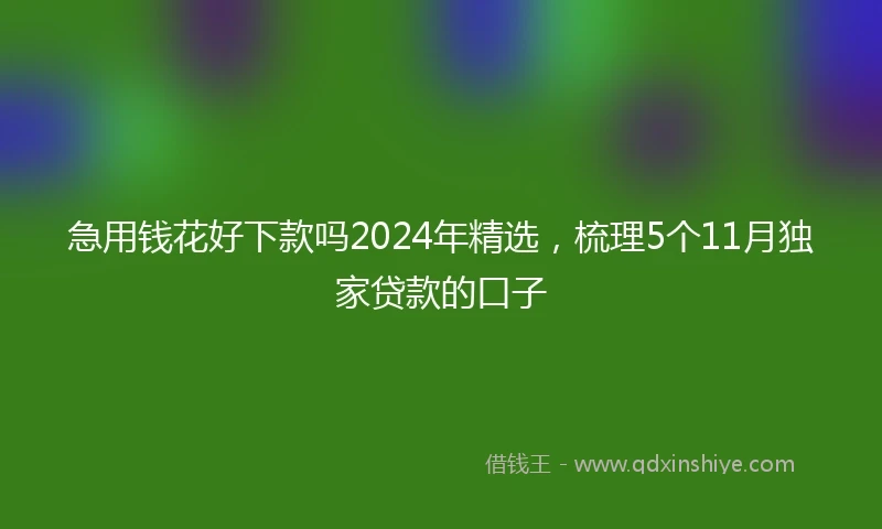急用钱花好下款吗2024年精选，梳理5个11月独家贷款的口子