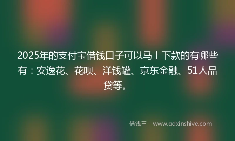 2025年的支付宝借钱口子可以马上下款的有哪些有：安逸花、花呗、洋钱罐、京东金融、51人品贷等。