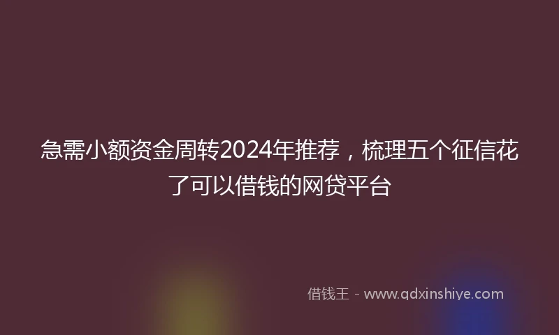 急需小额资金周转2024年推荐，梳理五个征信花了可以借钱的网贷平台