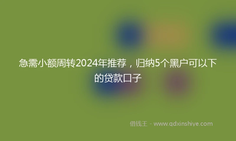 急需小额周转2024年推荐，归纳5个黑户可以下的贷款口子