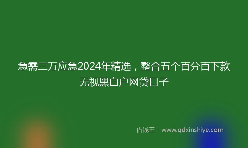 急需三万应急2024年精选，整合五个百分百下款无视黑白户网贷口子