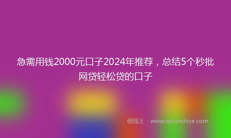 急需用钱2000元口子2024年推荐，总结5个秒批网贷轻松贷的口子