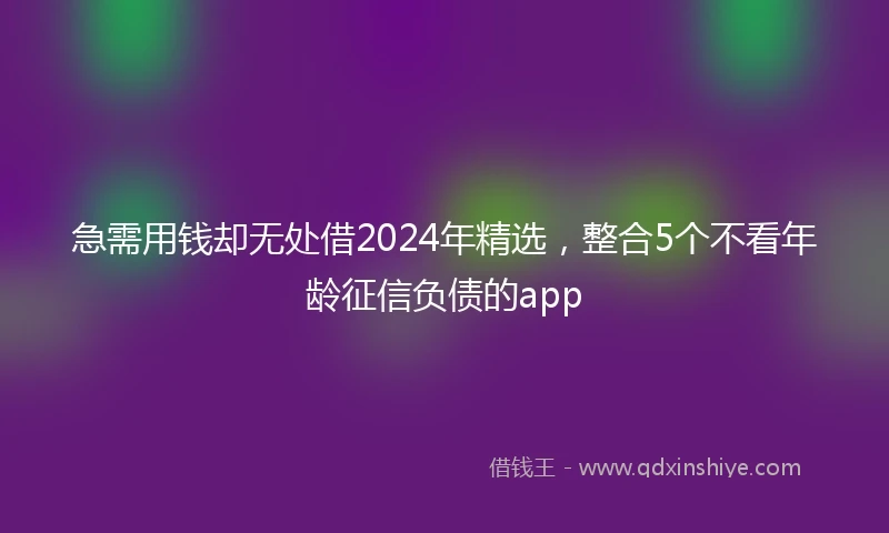 急需用钱却无处借2024年精选，整合5个不看年龄征信负债的app