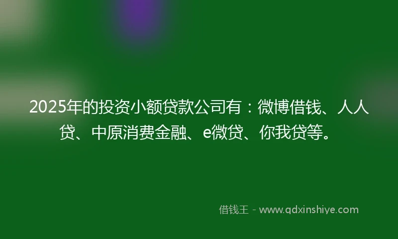 2025年的投资小额贷款公司有：微博借钱、人人贷、中原消费金融、e微贷、你我贷等。