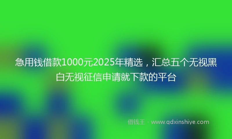 急用钱借款1000元2025年精选，汇总五个无视黑白无视征信申请就下款的平台