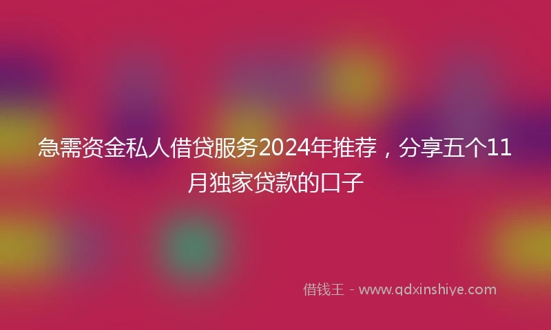 急需资金私人借贷服务2024年推荐，分享五个11月独家贷款的口子