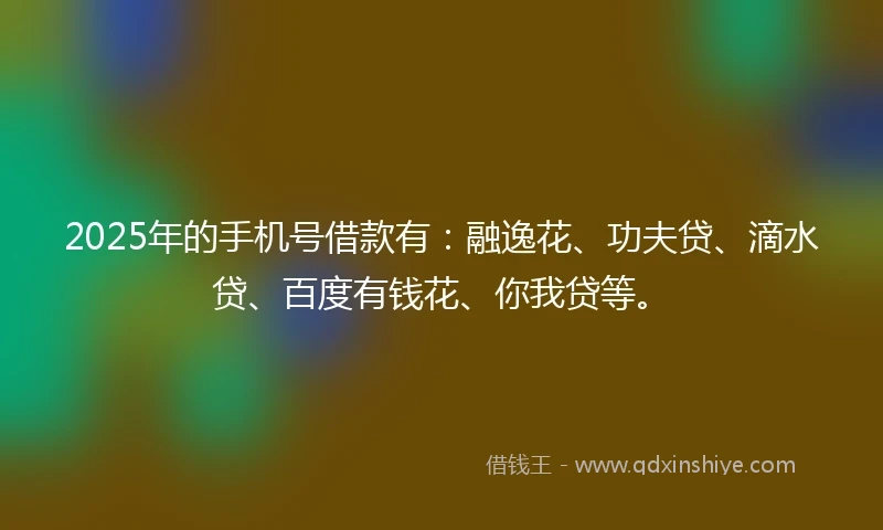 2025年的手机号借款有：融逸花、功夫贷、滴水贷、百度有钱花、你我贷等。