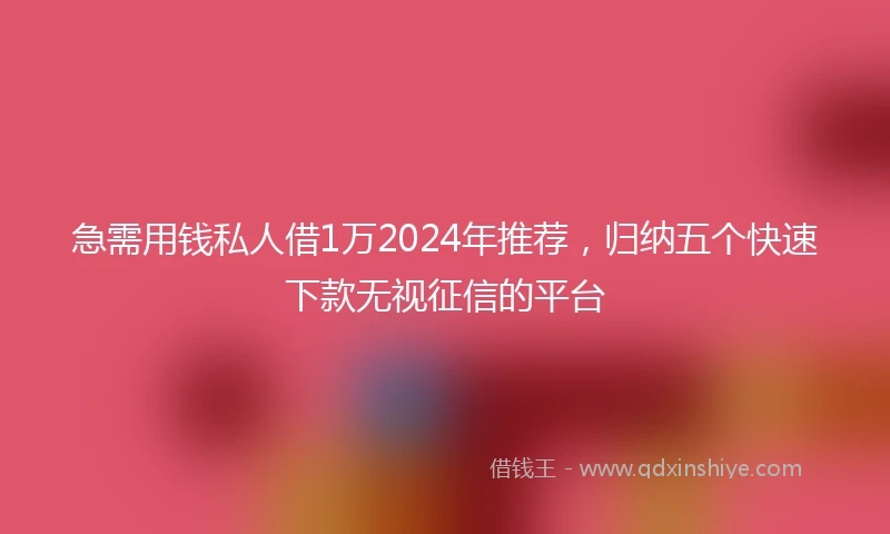 急需用钱私人借1万2024年推荐，归纳五个快速下款无视征信的平台