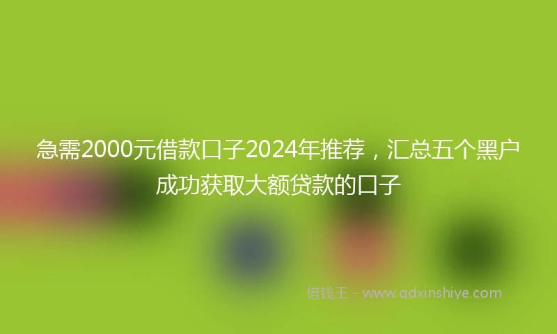急需2000元借款口子2024年推荐，汇总五个黑户成功获取大额贷款的口子