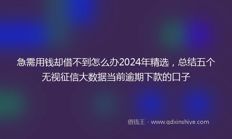 急需用钱却借不到怎么办2024年精选，总结五个无视征信大数据当前逾期下款的口子