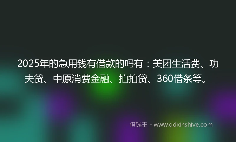 2025年的急用钱有借款的吗有:美团生活费、功夫贷、中原消费金融、拍拍贷、360借条等。