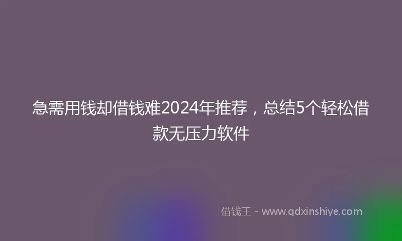 急需用钱却借钱难2024年推荐，总结5个轻松借款无压力软件