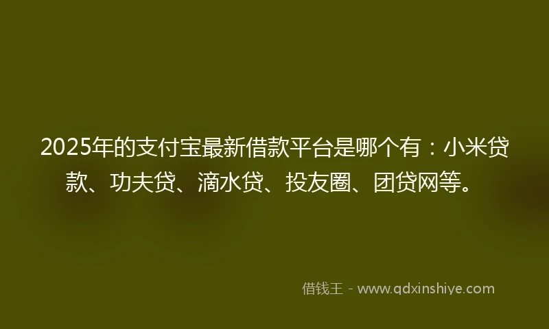 2025年的支付宝最新借款平台是哪个有：小米贷款、功夫贷、滴水贷、投友圈、团贷网等。