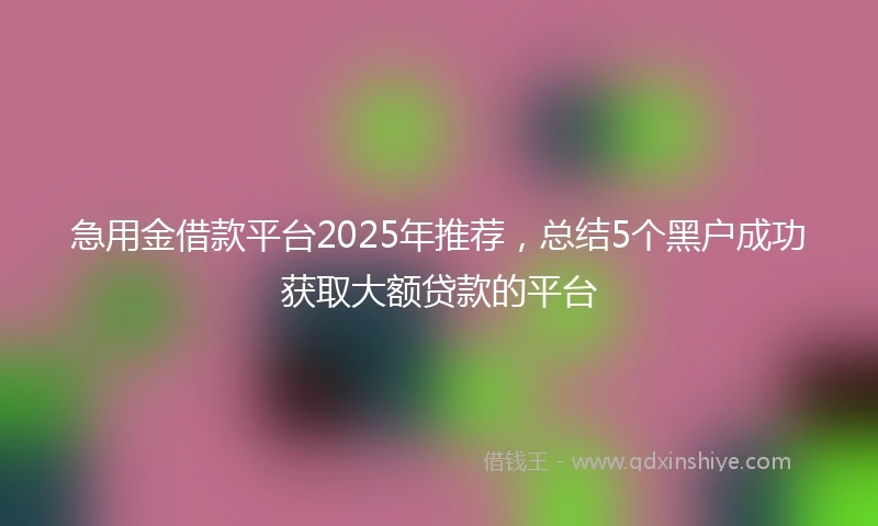 急用金借款平台2025年推荐，总结5个黑户成功获取大额贷款的平台
